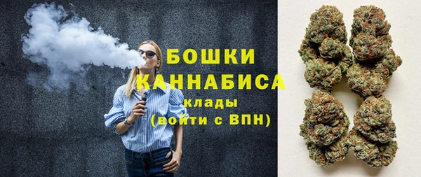 не бодяженный Новозыбков