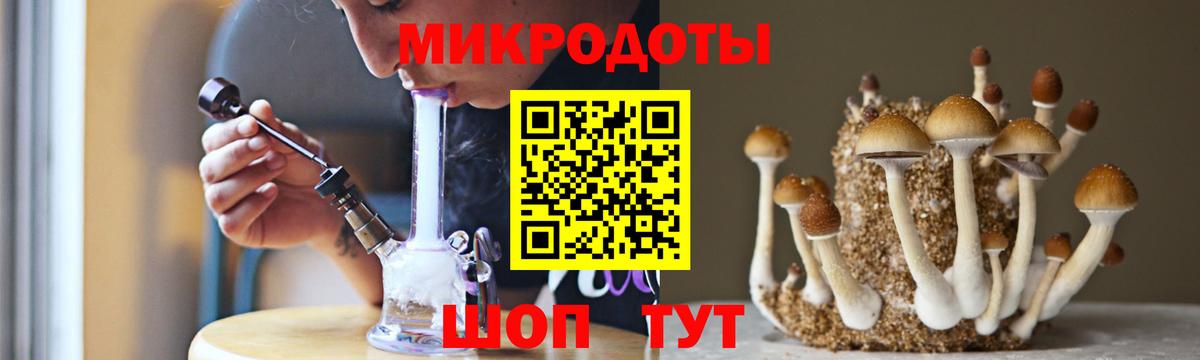 Псилоцибиновые грибы MAGIC MUSHROOMS  хочу наркоту  Галлюциногенные грибы ЛСД  Приморско-Ахтарск  Вход с VPN 